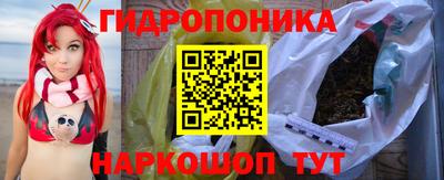 СК Гусев