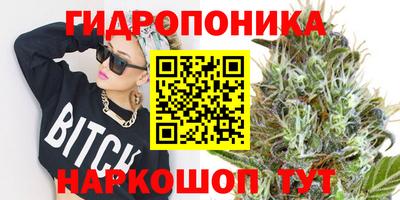 СК Гусев