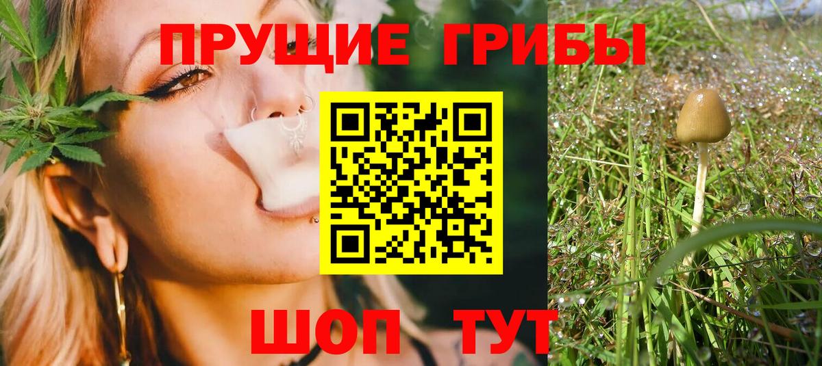 Галлюциногенные грибы Psilocybe  Вход с VPN  Мурманск 