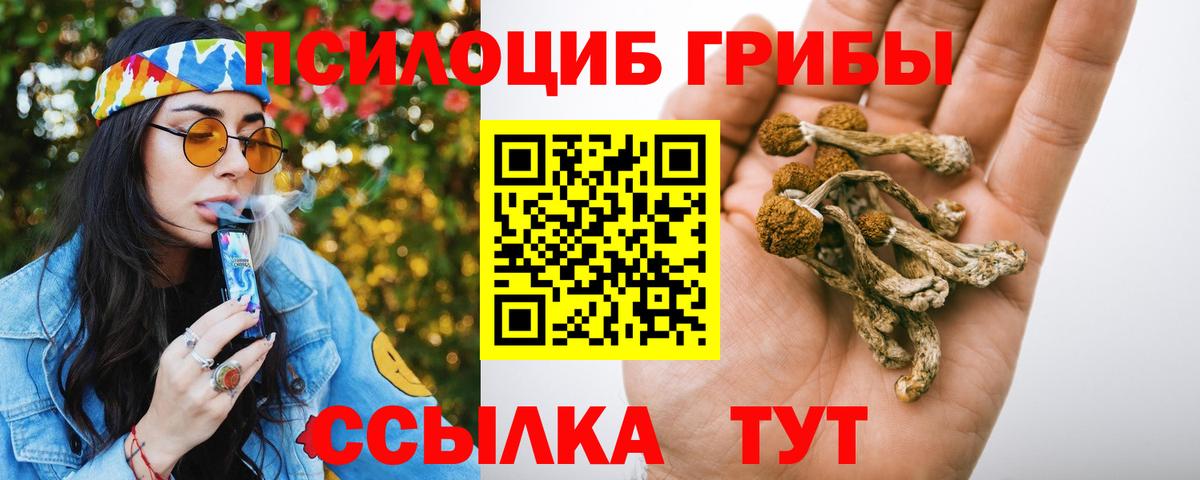 ГАШ  Мурманск  МЕФ   Вход с VPN  Конопля  COCAIN 