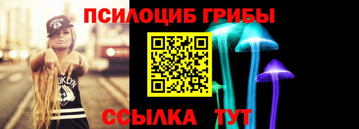 Псилоцибиновые грибы Psilocybine cubensis Мурманск